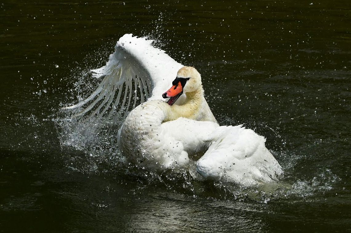 Community photo by Lorraine