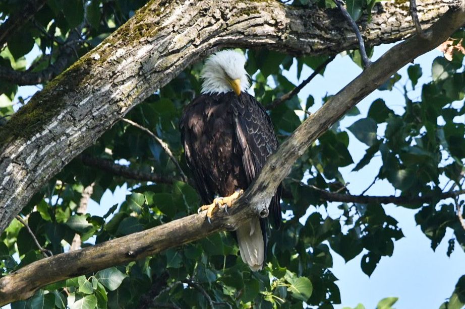 Community photo by Lorraine