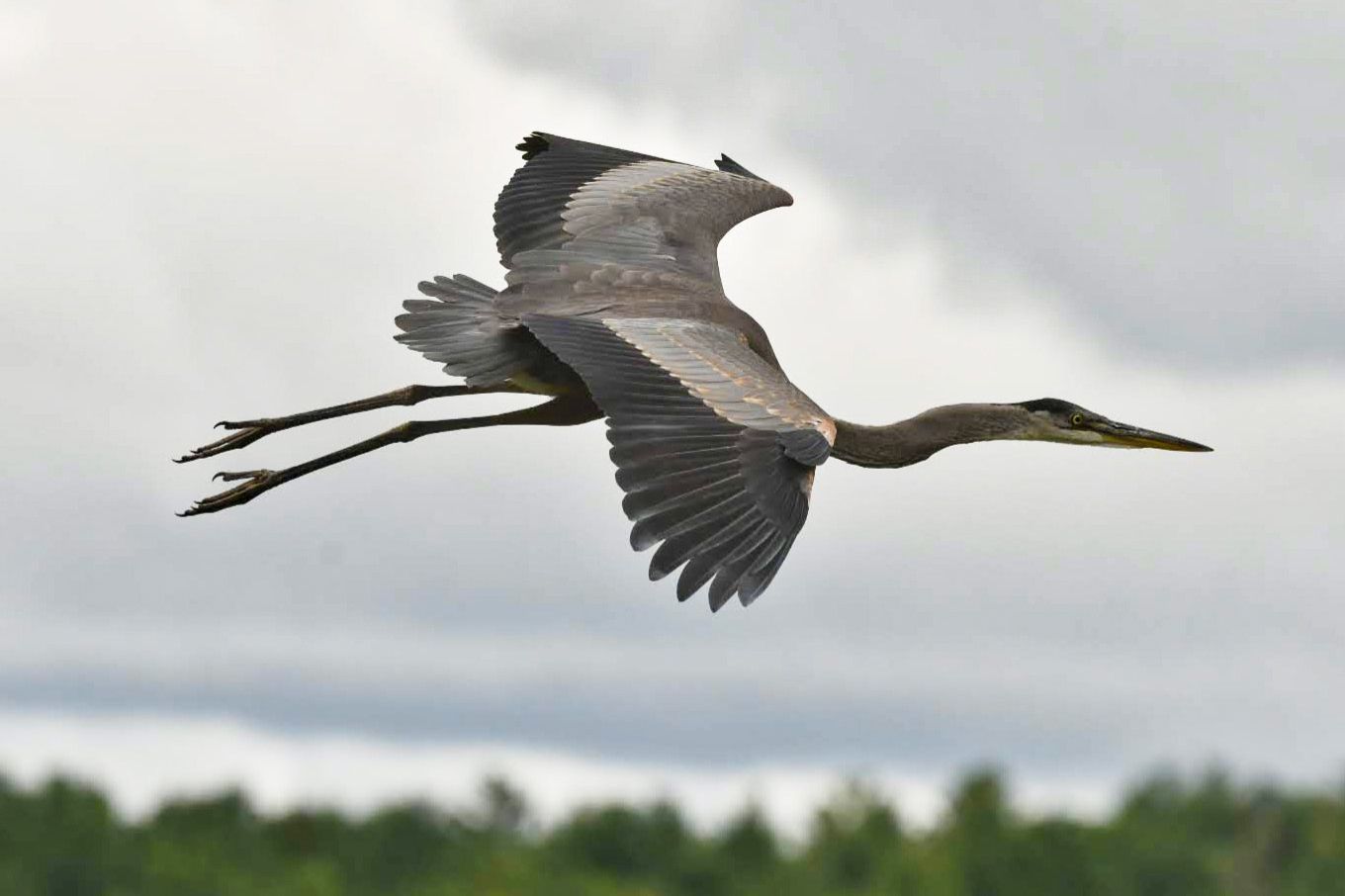 Community photo by Lorraine