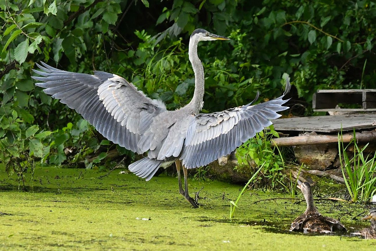 Community photo by Lorraine