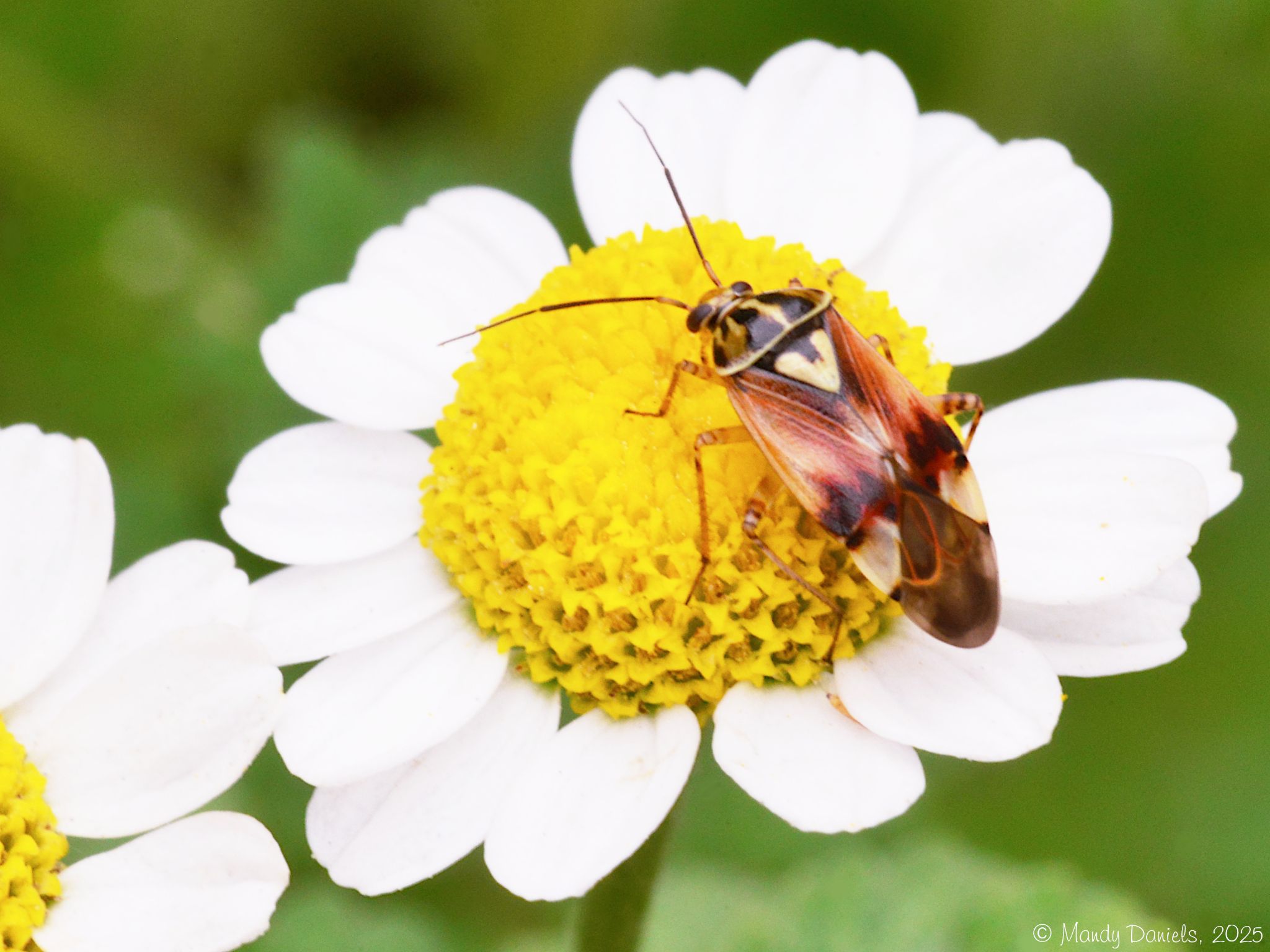 Community photo by Mandy