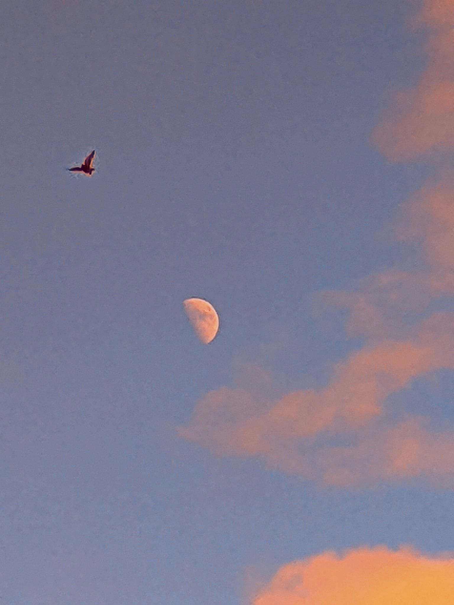 Community photo by Kevan