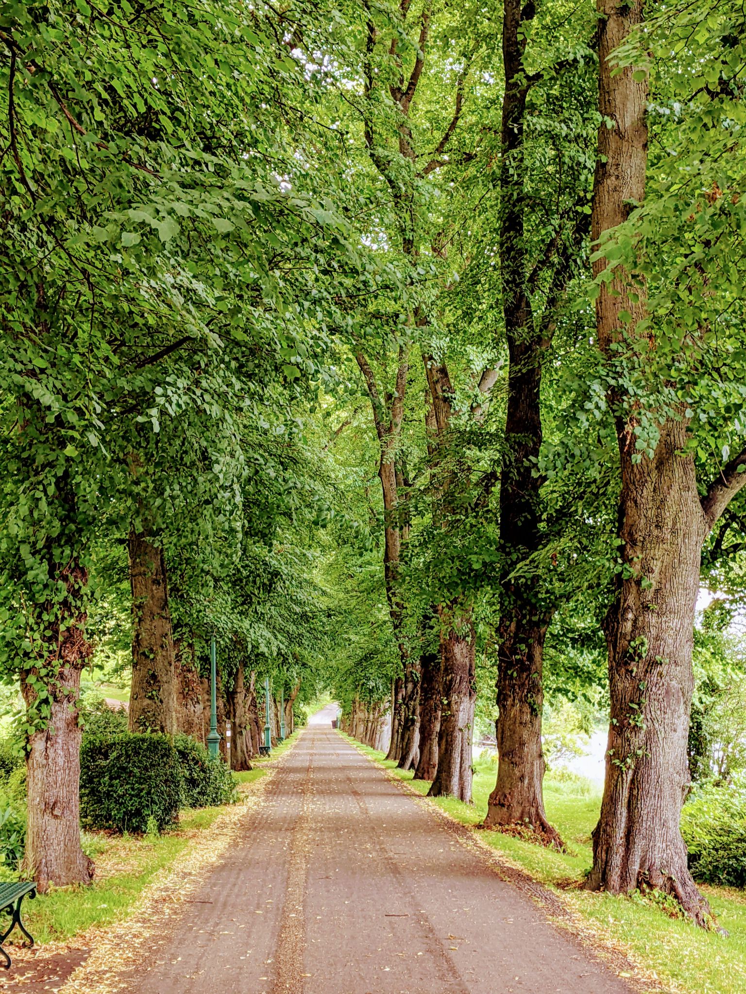 Community photo by Kevan