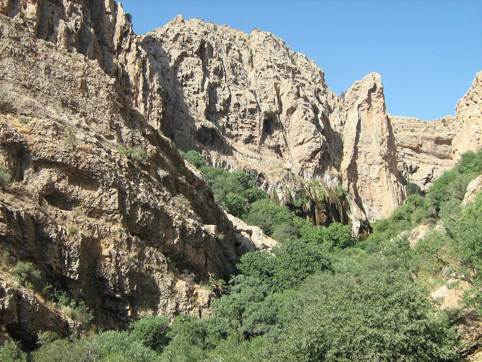 Community photo by Hassan