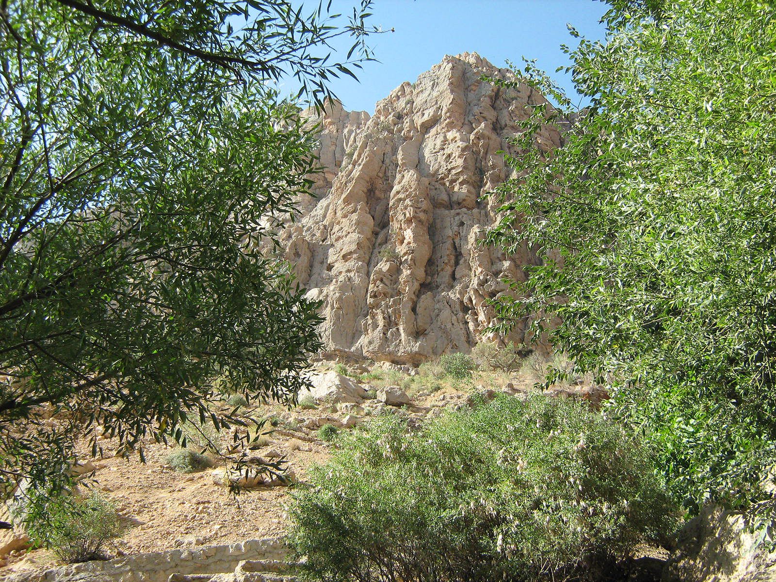 Community photo by Hassan