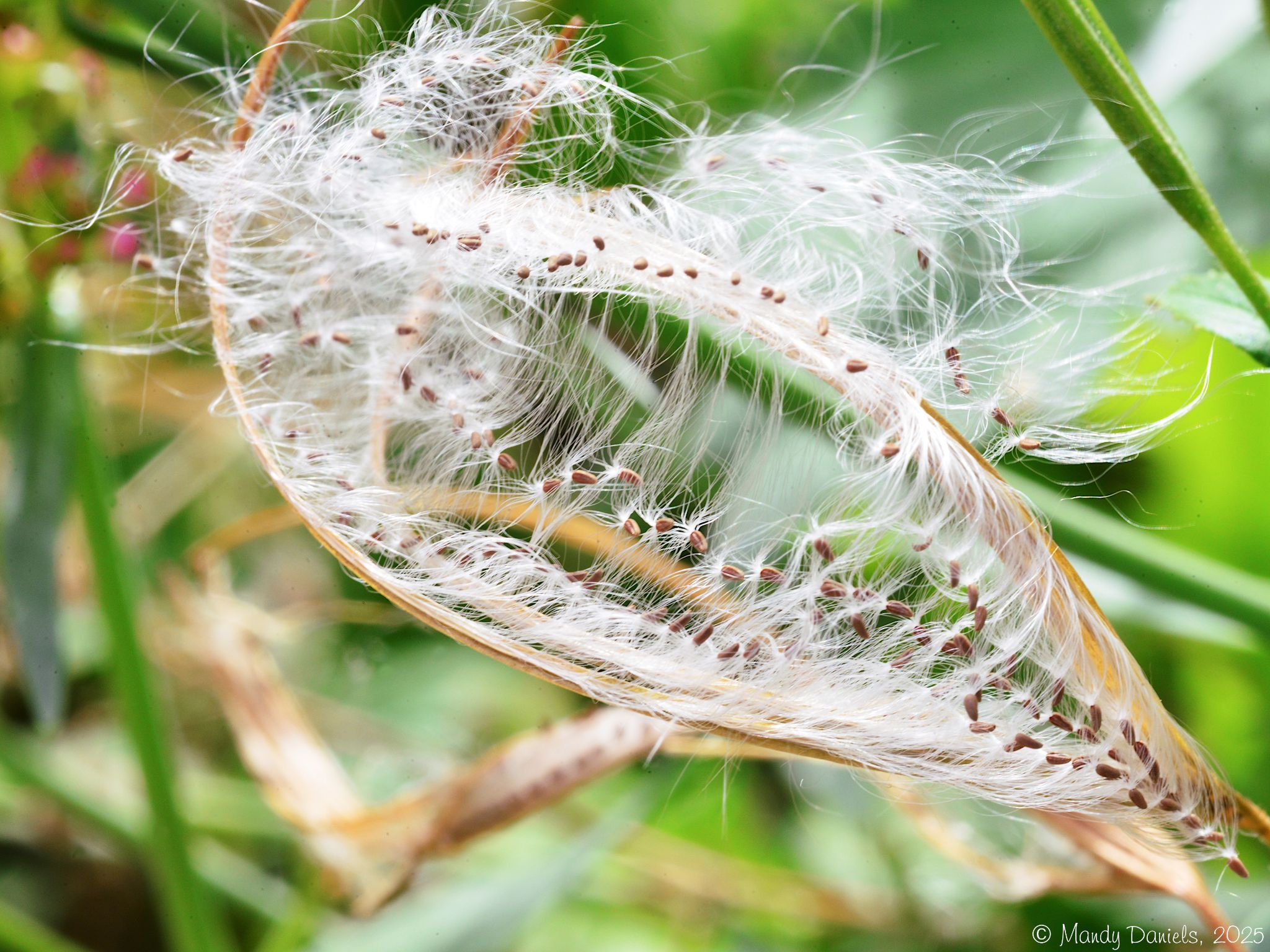 Community photo by Mandy