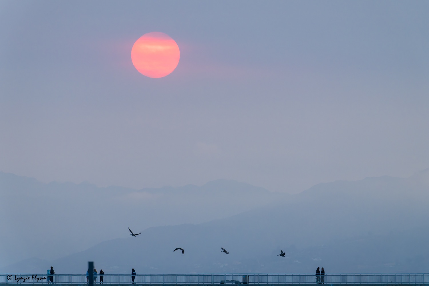 Community photo by Lynzie Flynn | Playa del Rey, California USA