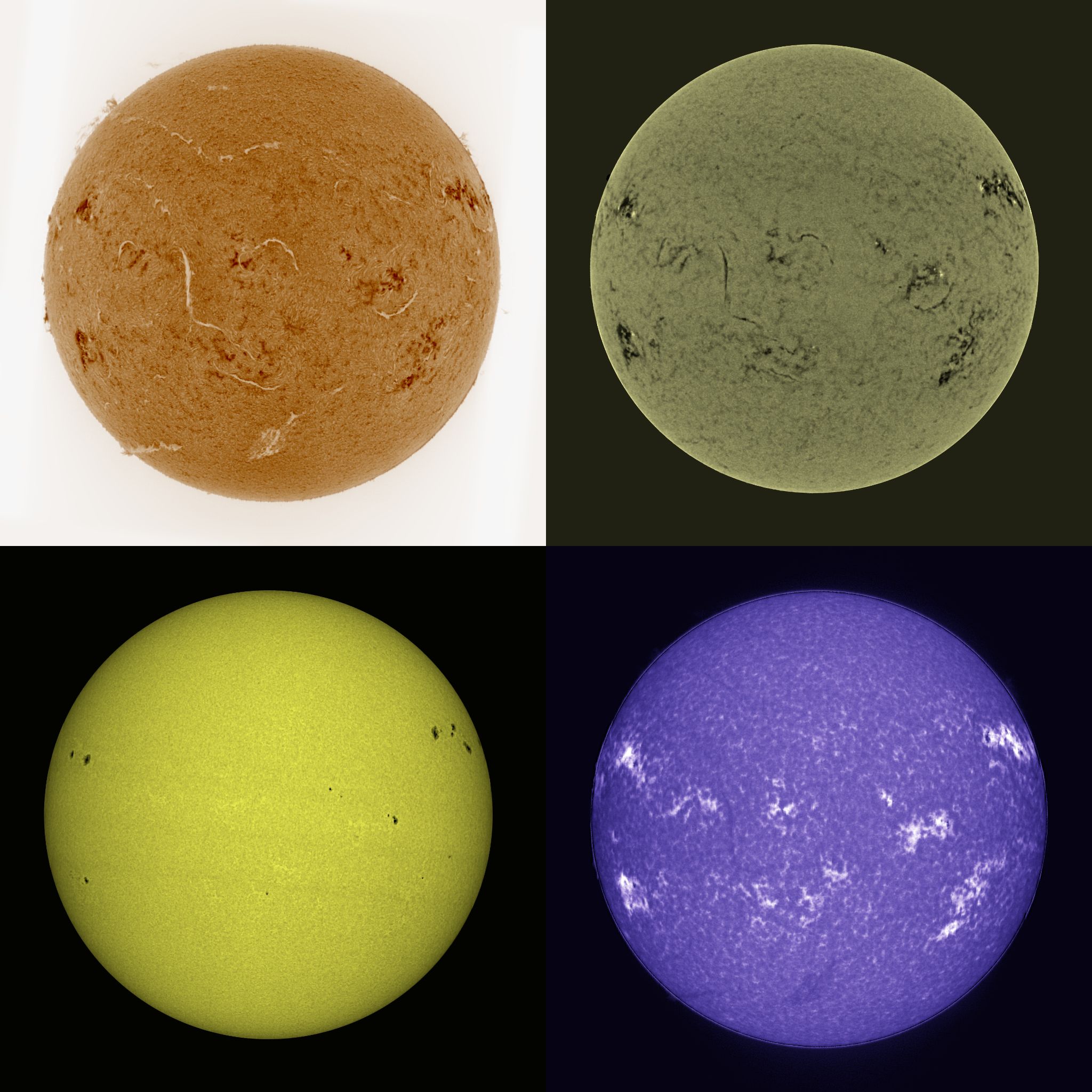 Community photo by Mauro