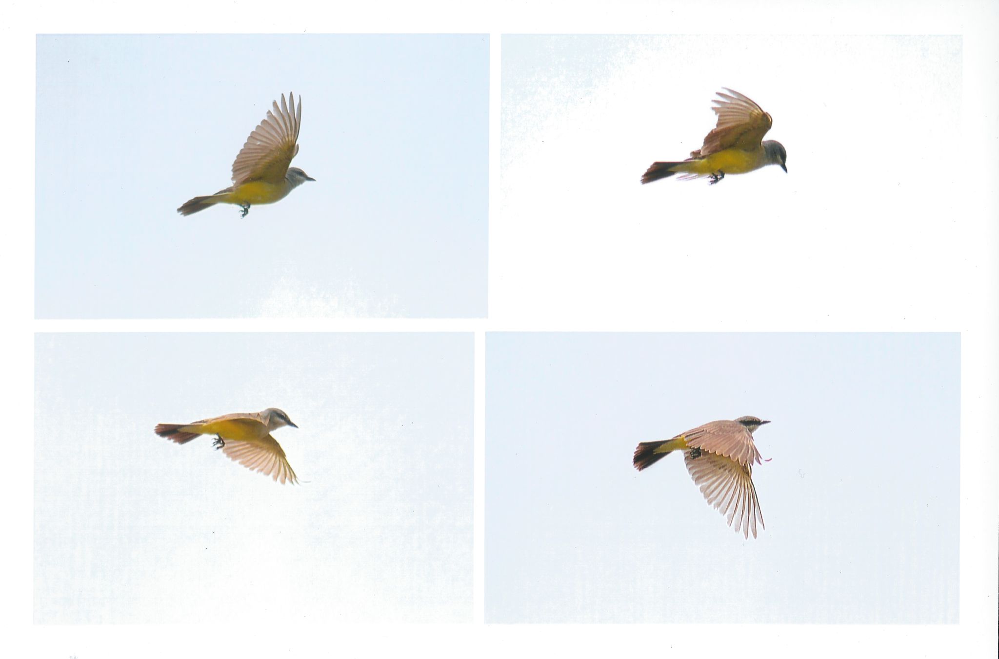 Community photo by Randy