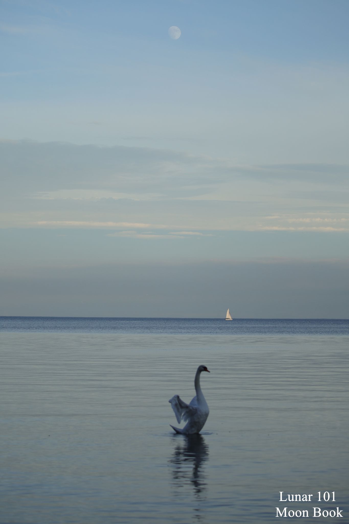 Community photo by Steven Sweet | Mississauga, Ontario, Canada