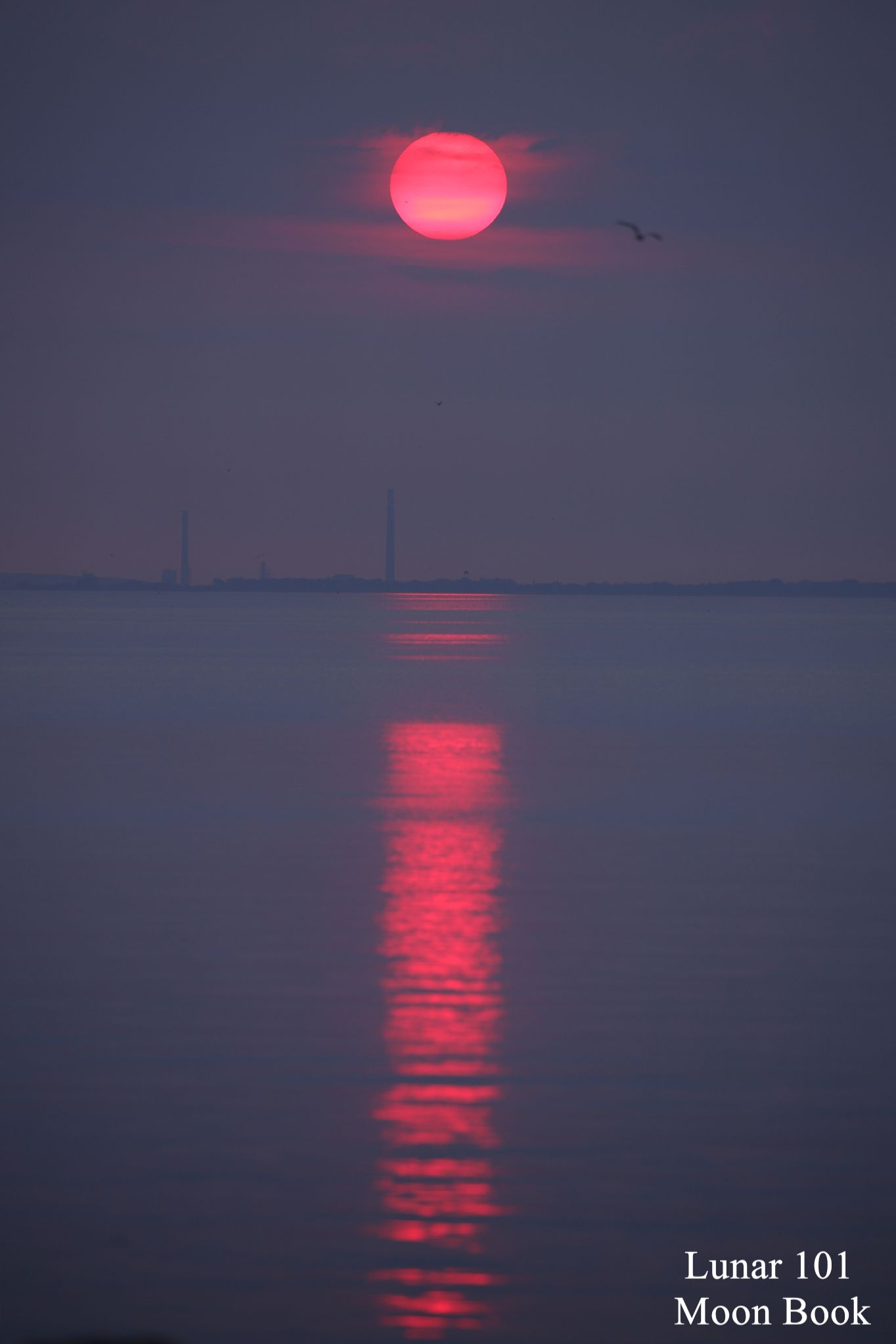 Community photo by Steven Sweet | Mississauga, Ontario Canada