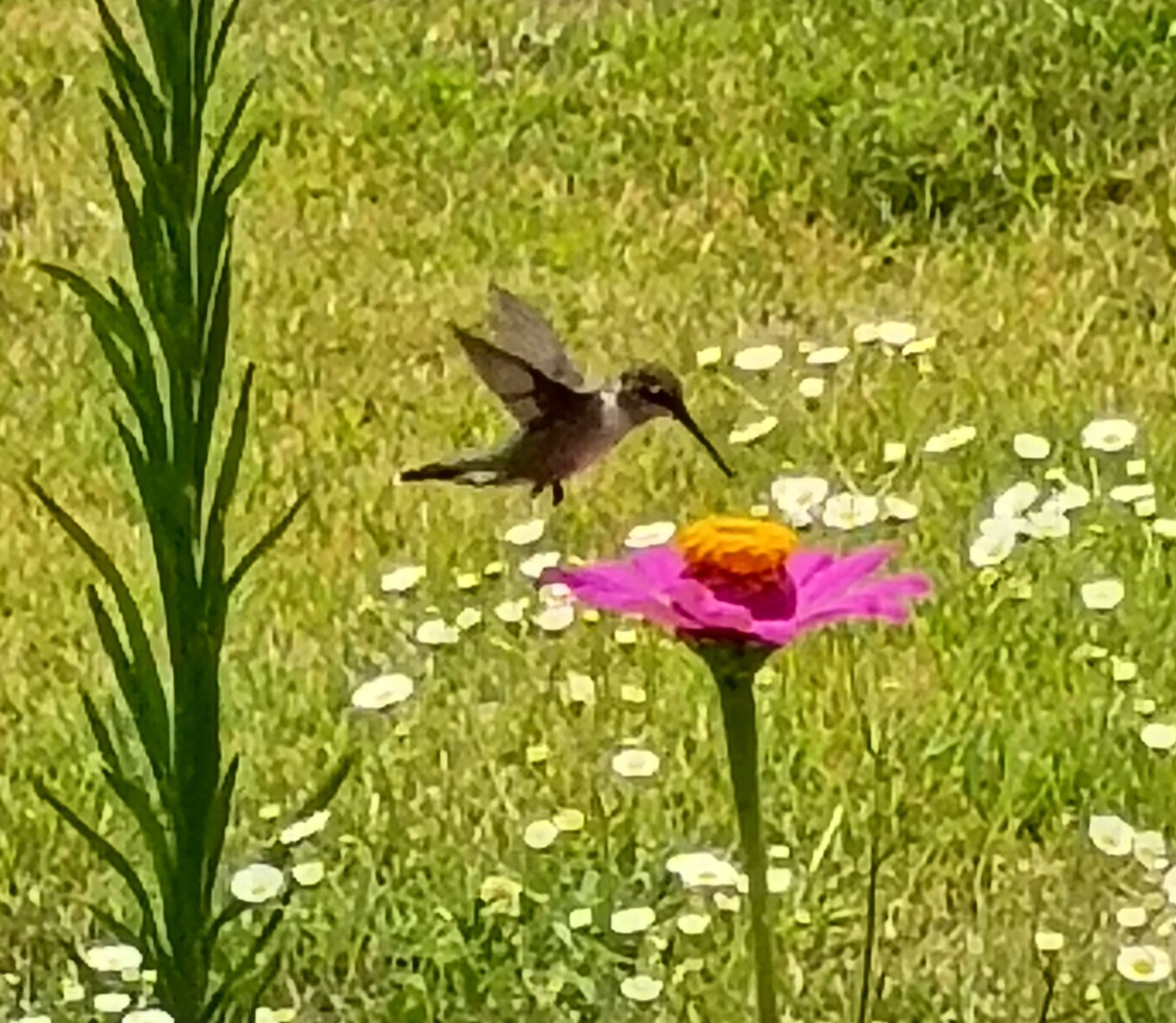 Community photo by Martha