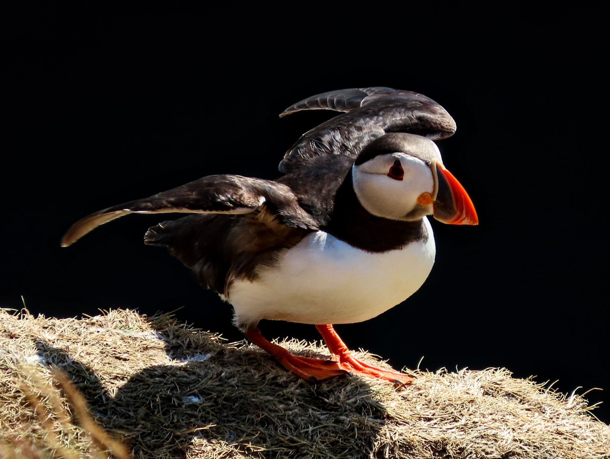 Community photo by Mike Atkinson | England. East coast  Flamborough