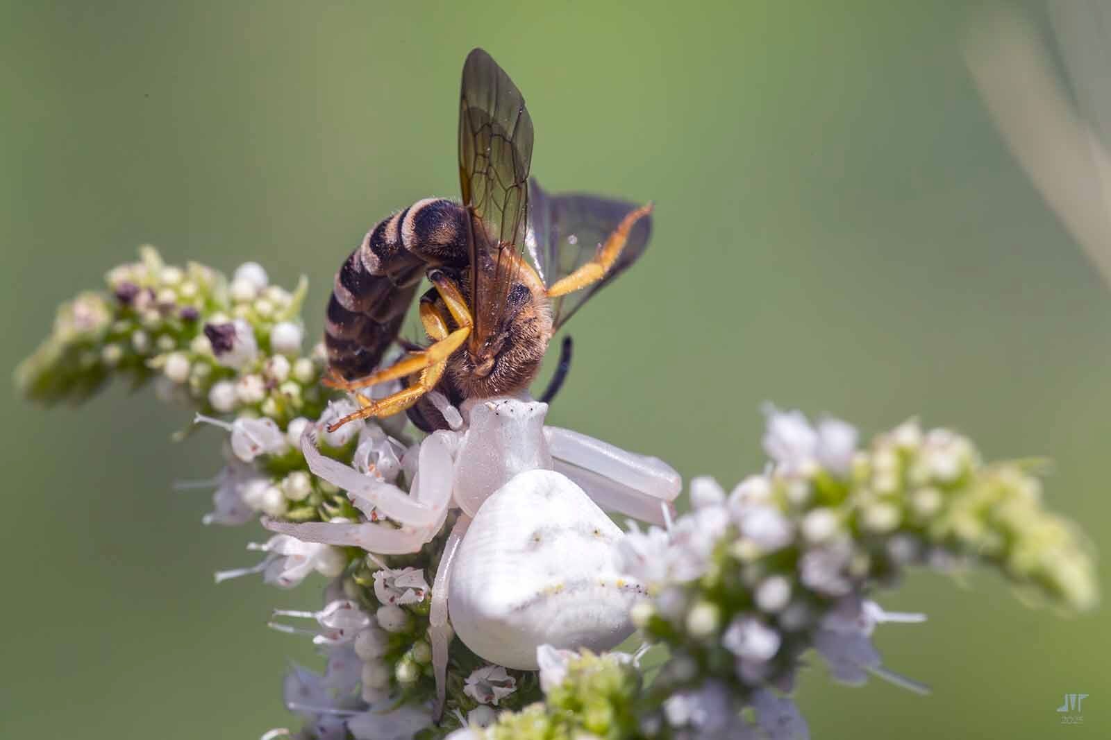 Community photo by juan manuel pérez rayego | merida, spain