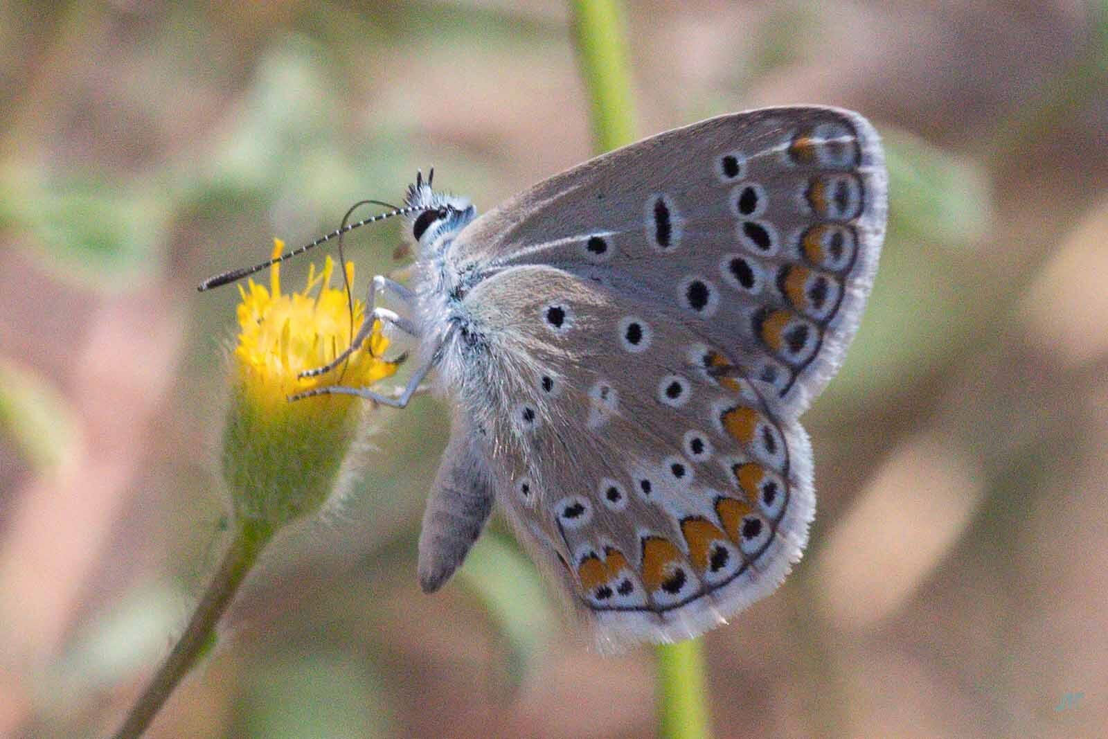 Community photo by juan manuel pérez rayego | merida, spain
