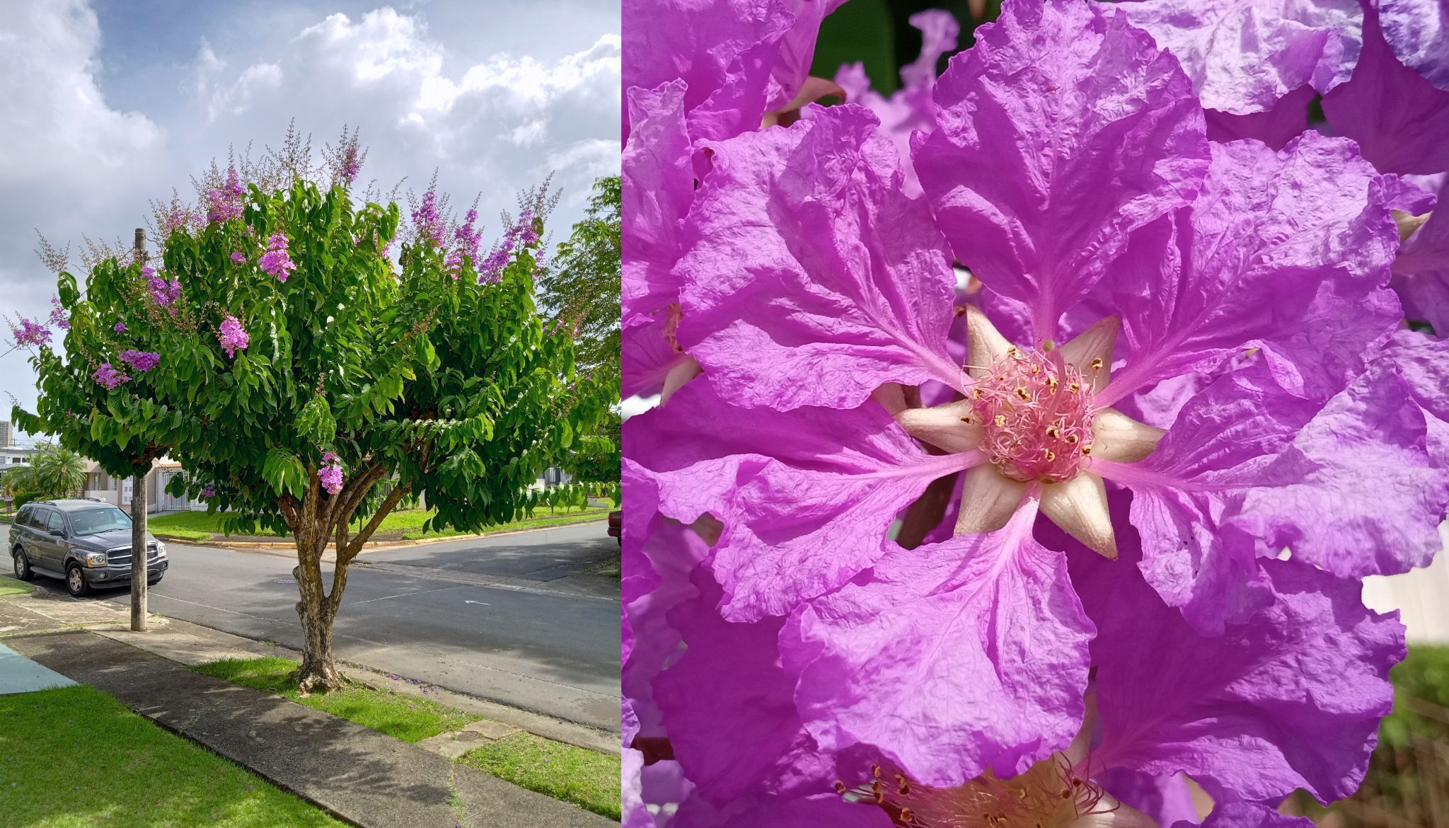 Community photo by Armando Caussade | San Juan, Puerto Rico
