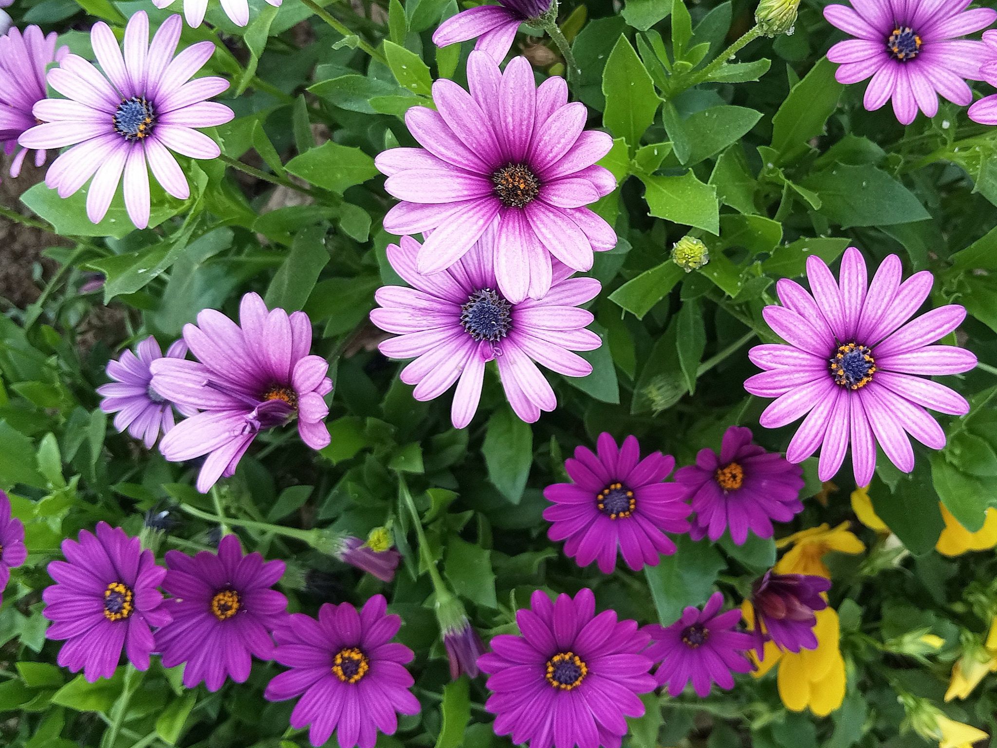 Community photo by Hassan