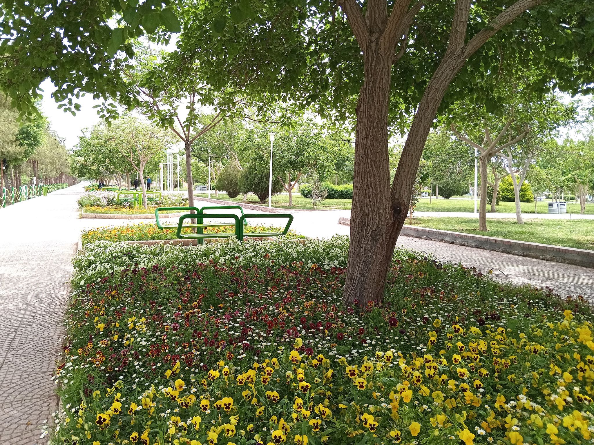 Community photo by Hassan