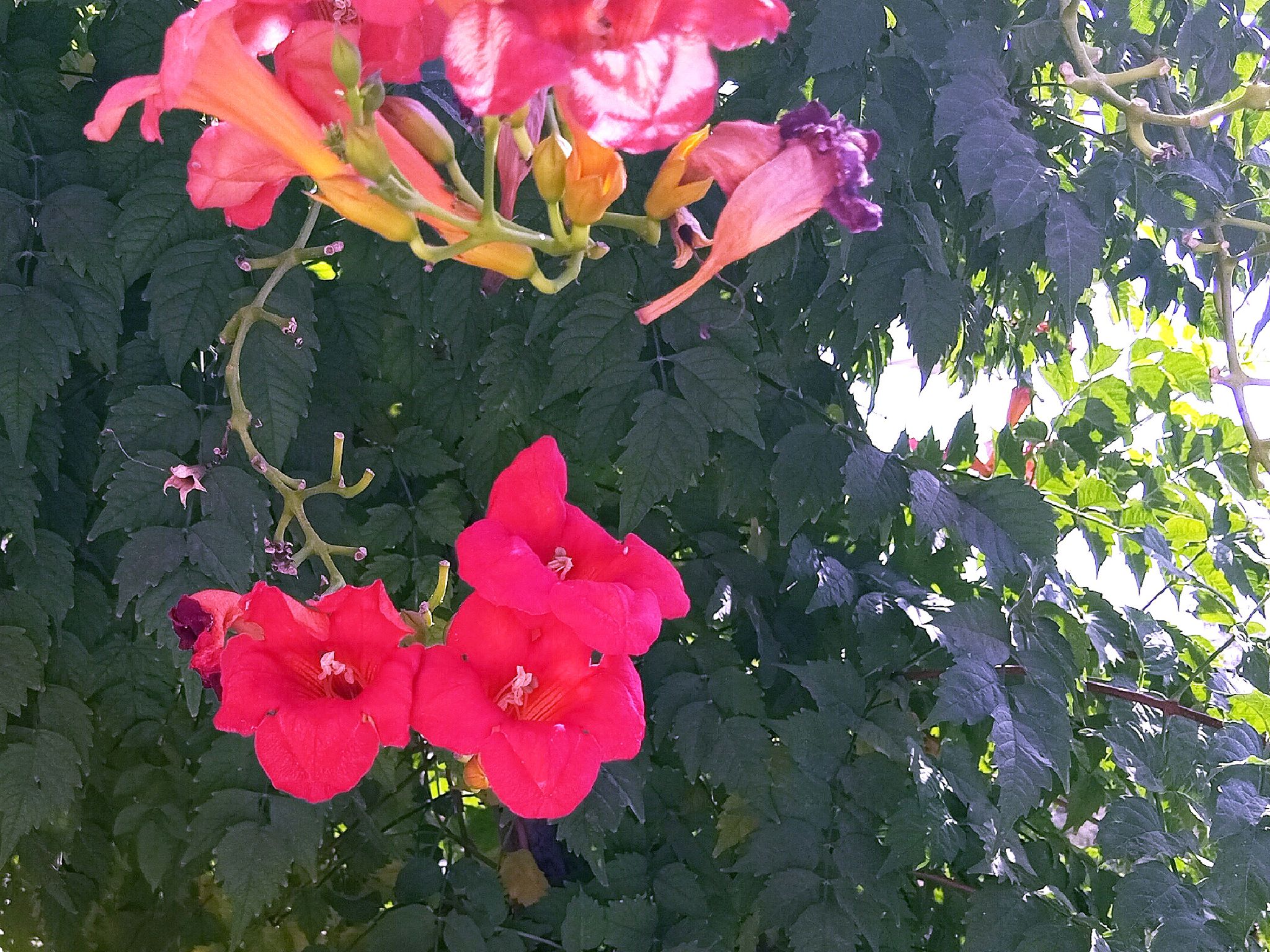 Community photo by Hassan