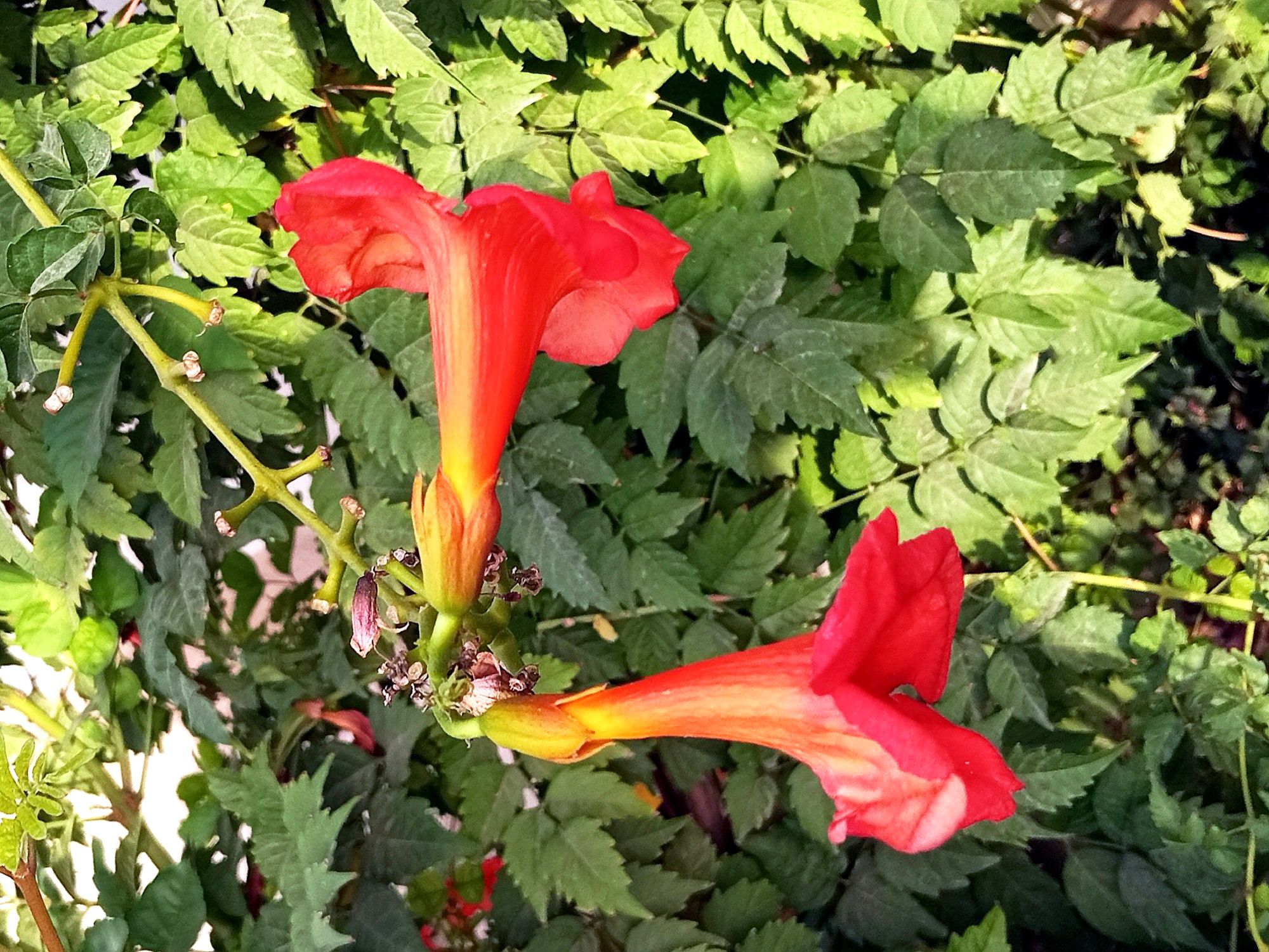 Community photo by Hassan