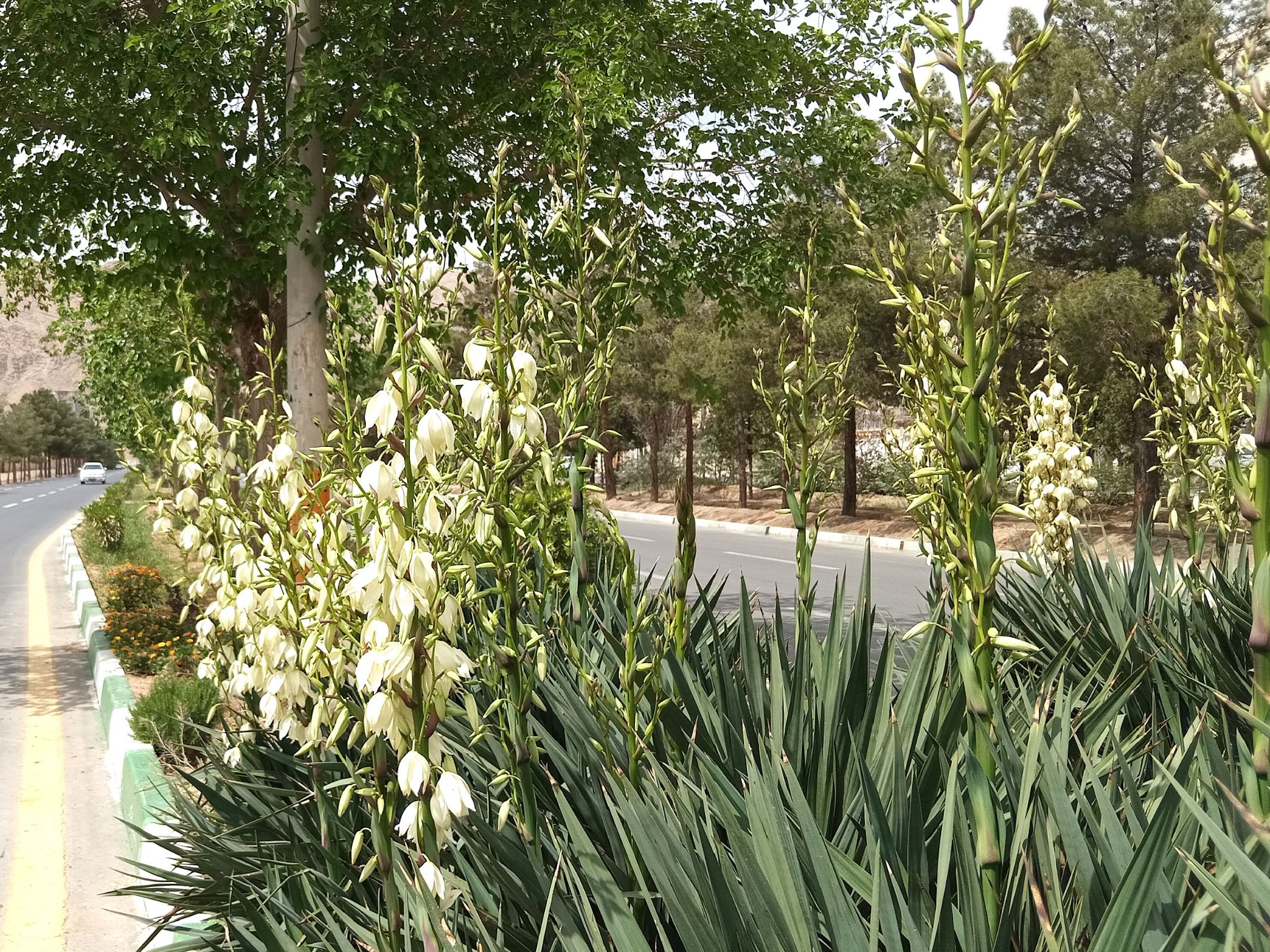 Community photo by Hassan