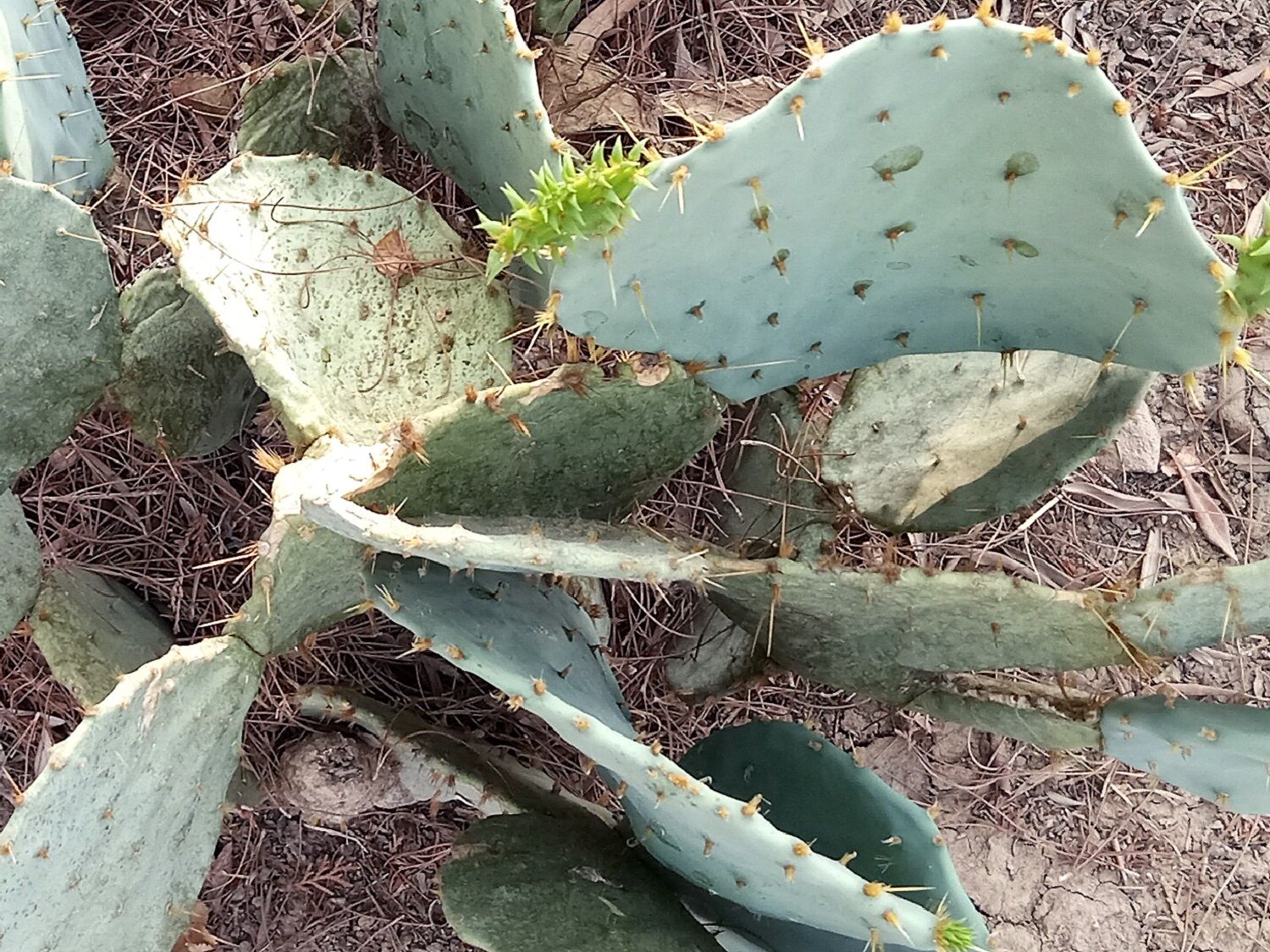 Community photo by Hassan