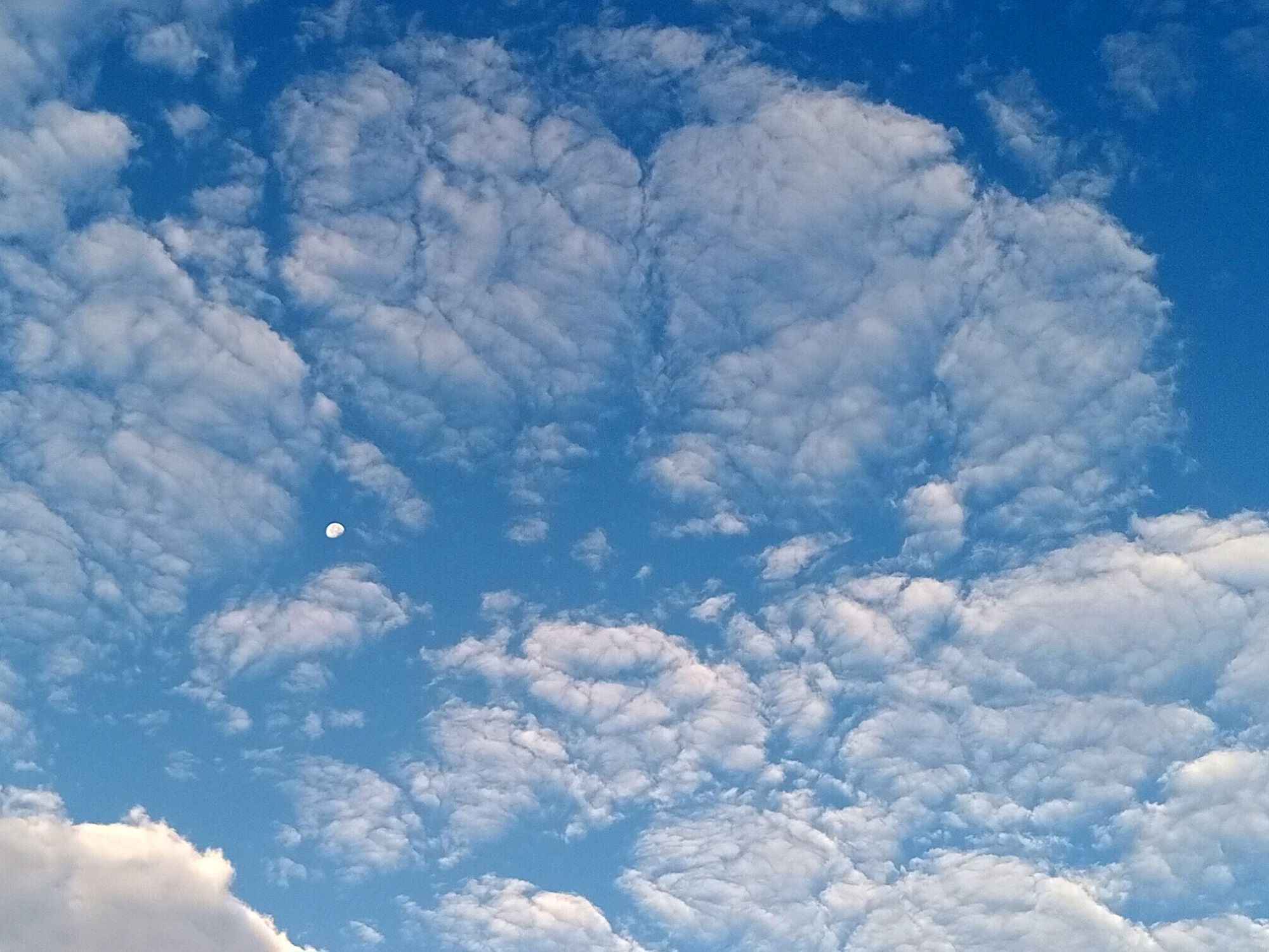 Community photo by Hassan