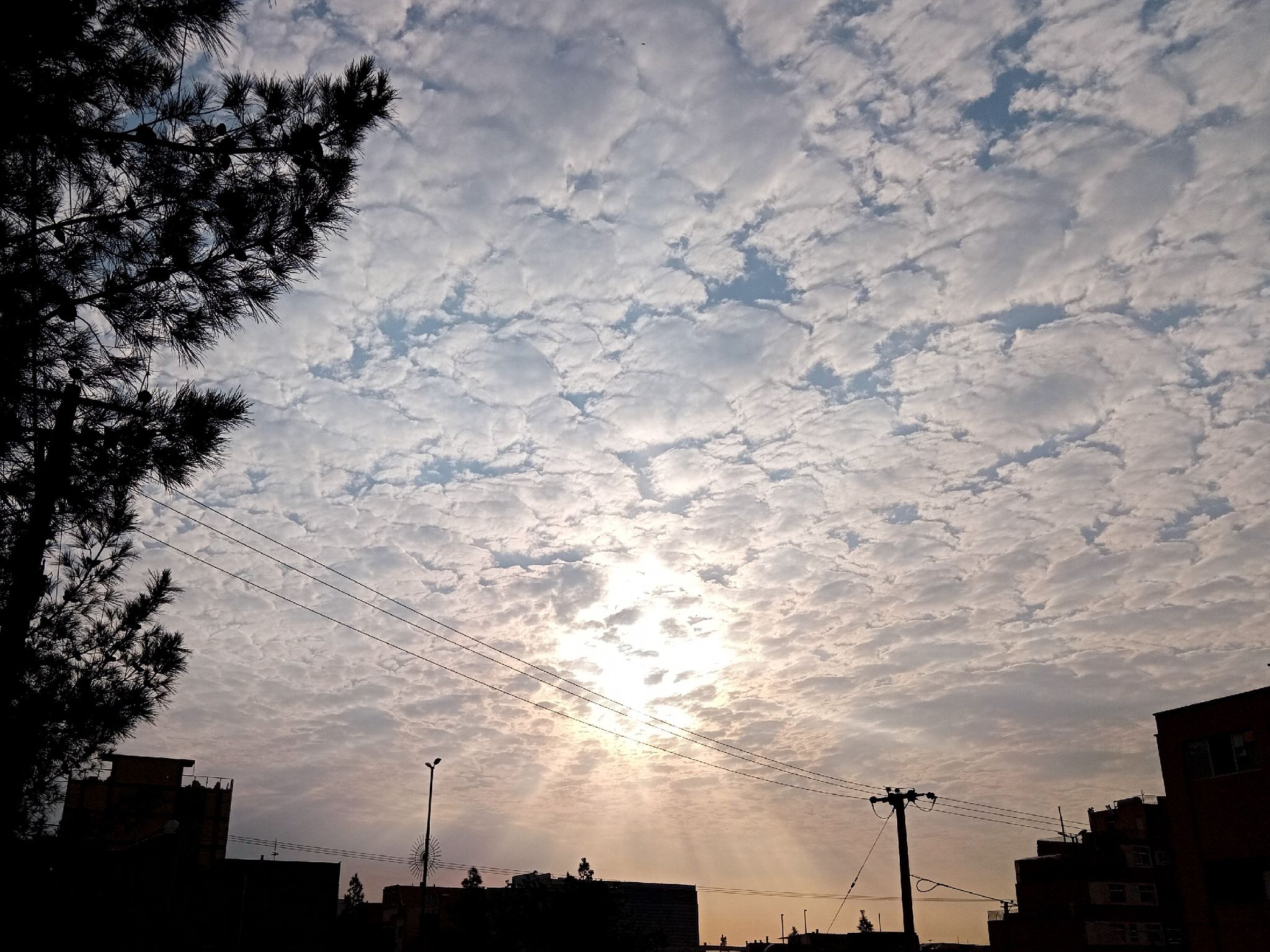 Community photo by Hassan