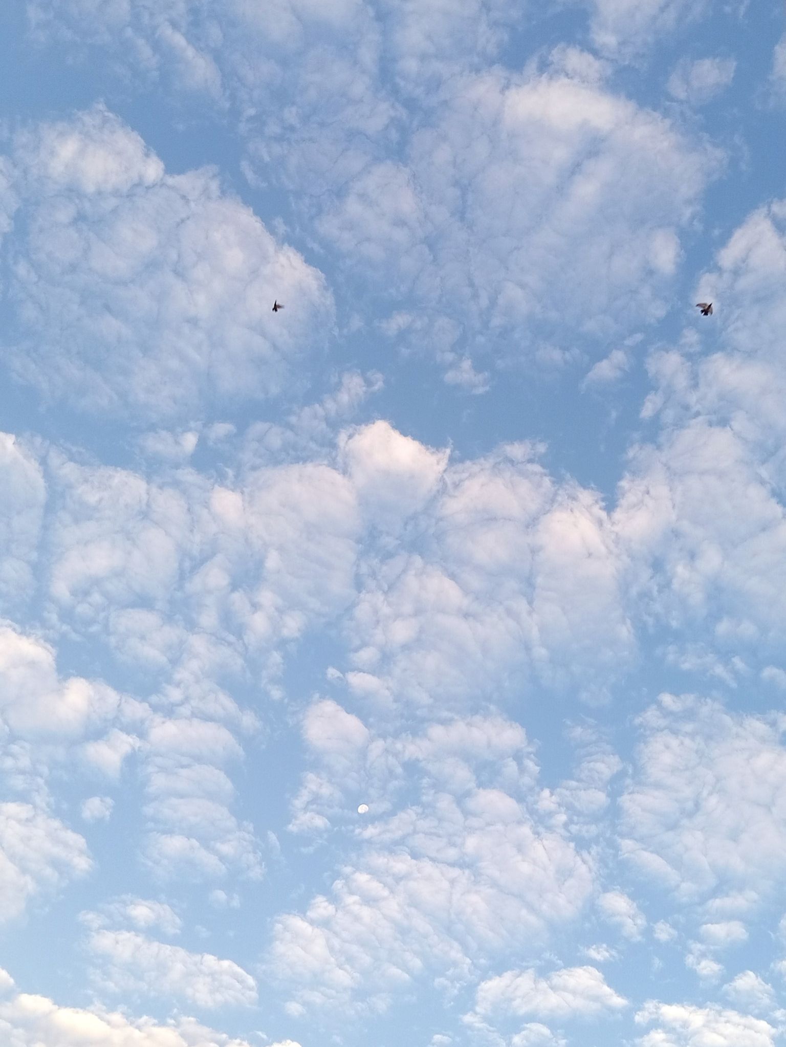 Community photo by Hassan