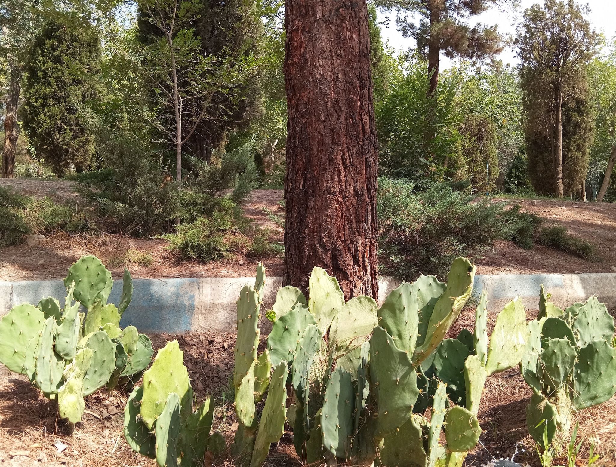 Community photo by Hassan