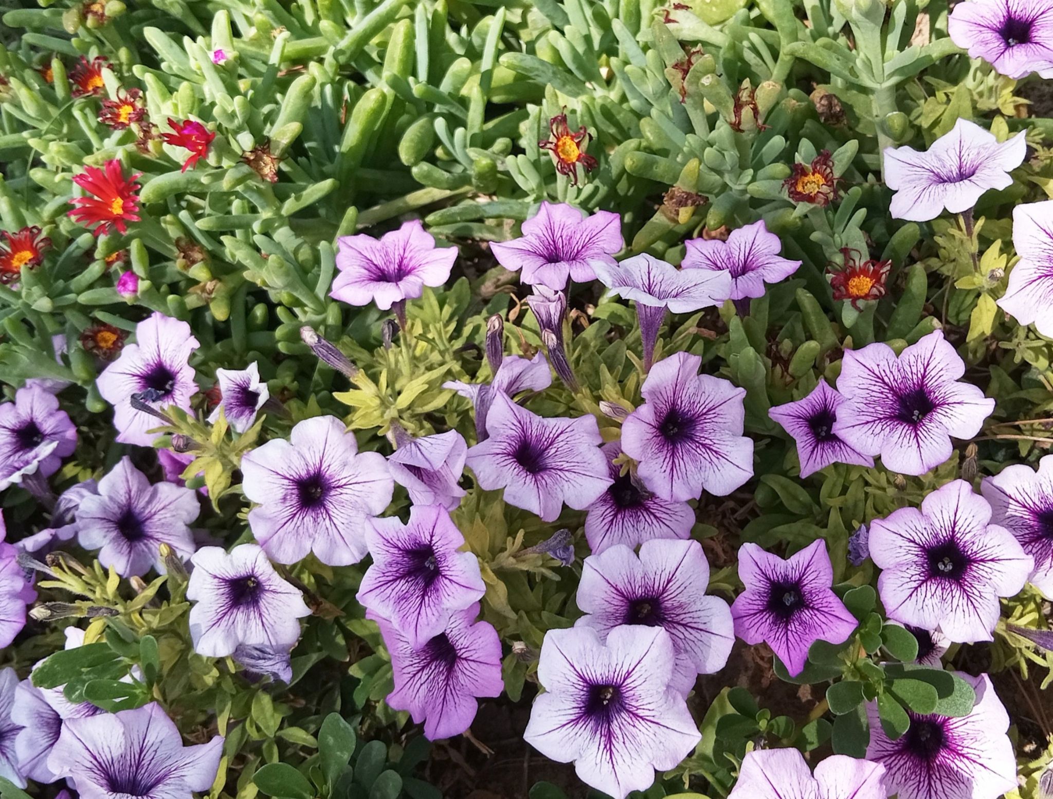 Community photo by Hassan