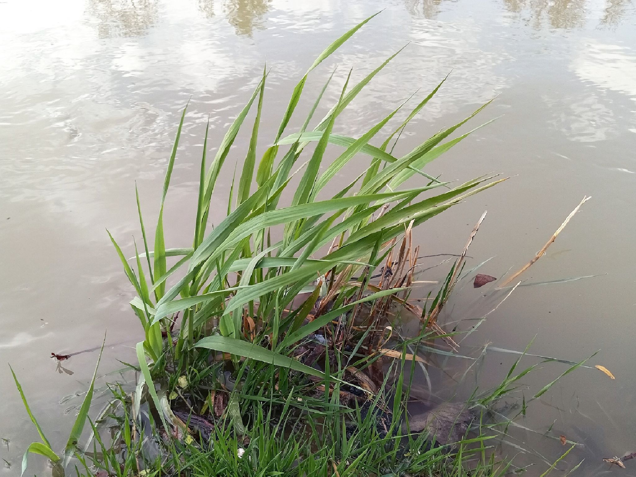 Community photo by Hassan