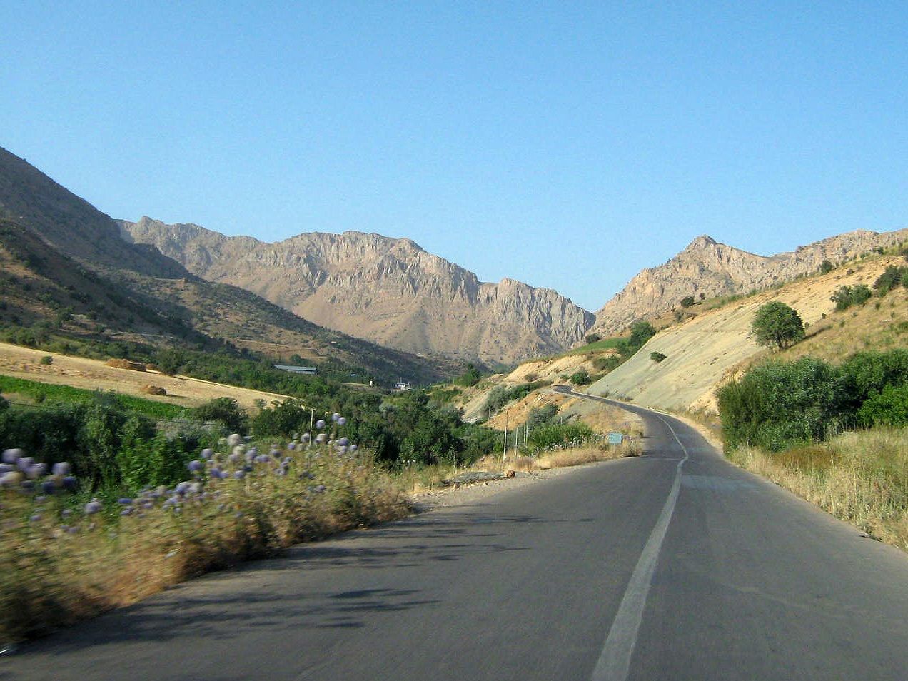 Community photo by Hassan