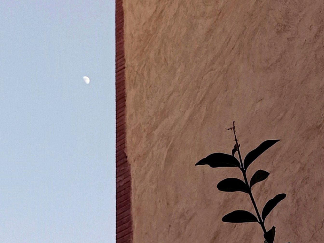 Community photo by Hassan