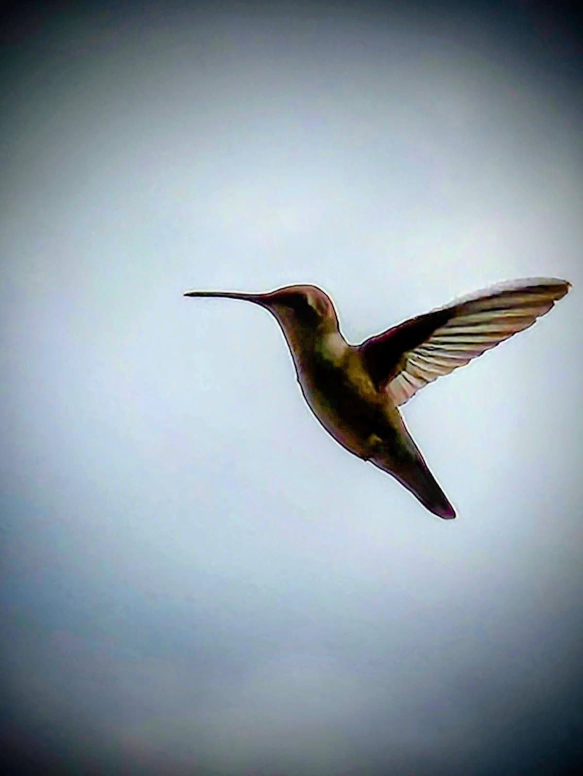 Community photo by Larry Kieffer | Roanoke, VA, USA