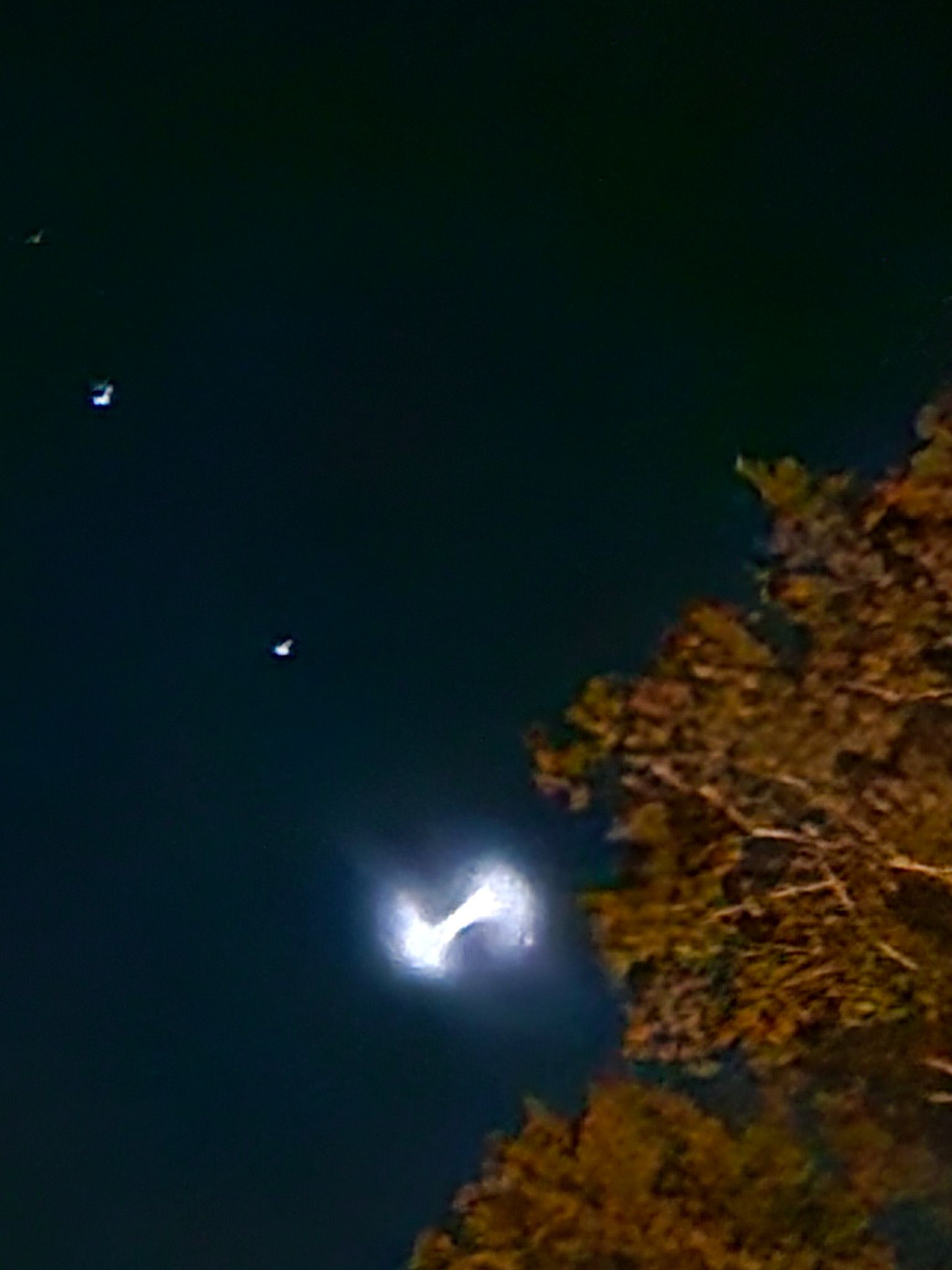 Community photo by Josh