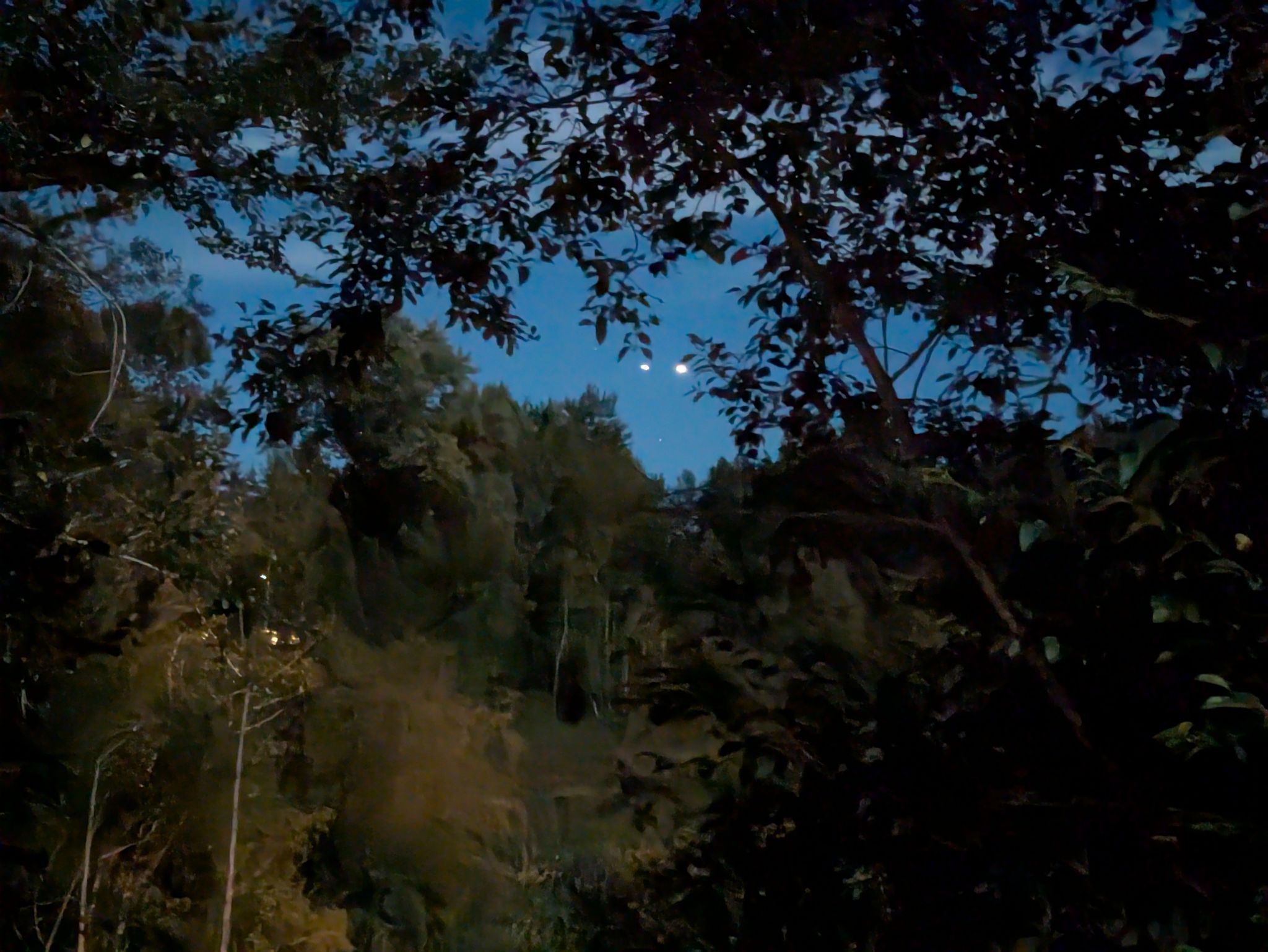 Community photo by Marilyn Grady | Bellingham Washington USA