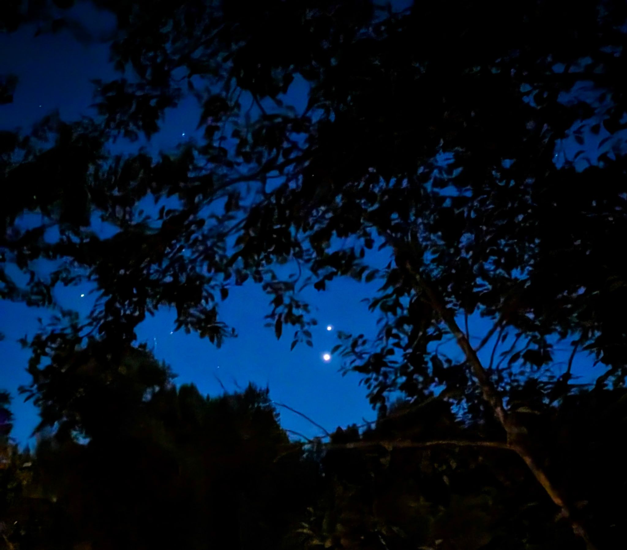 Community photo by Marilyn Grady | BELLINGHAM, WA, USA