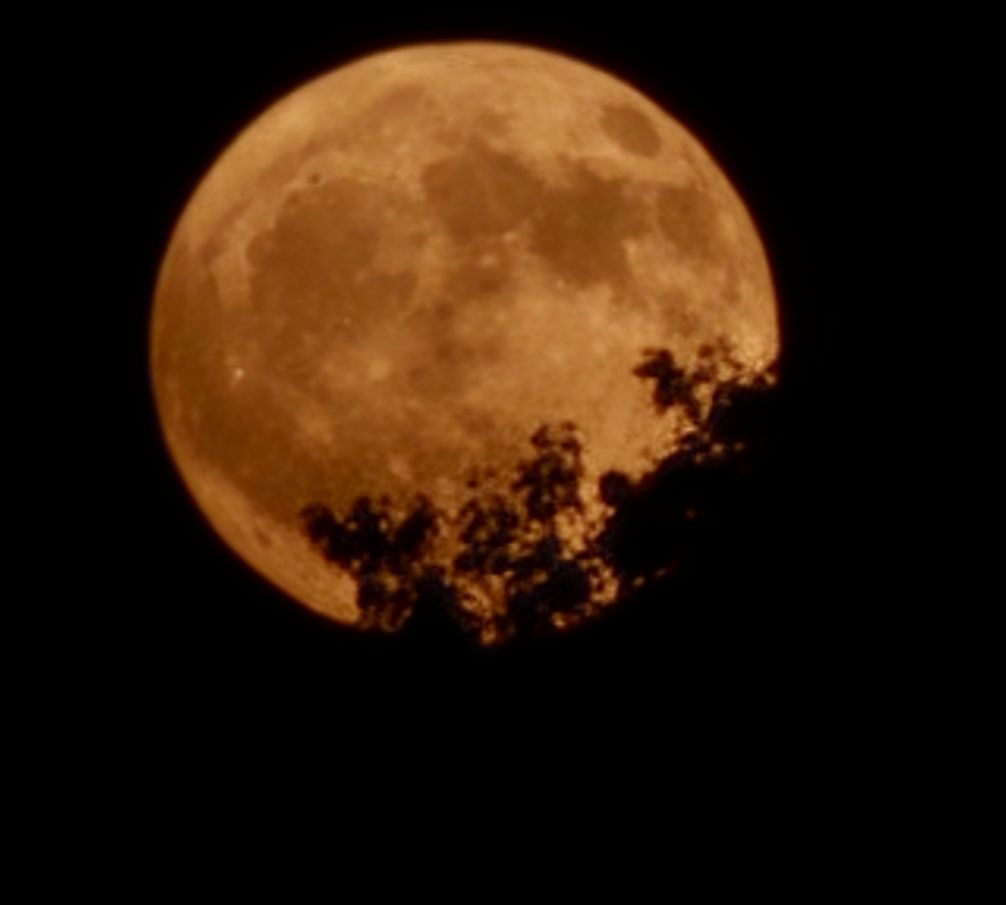 Community photo by Eddie