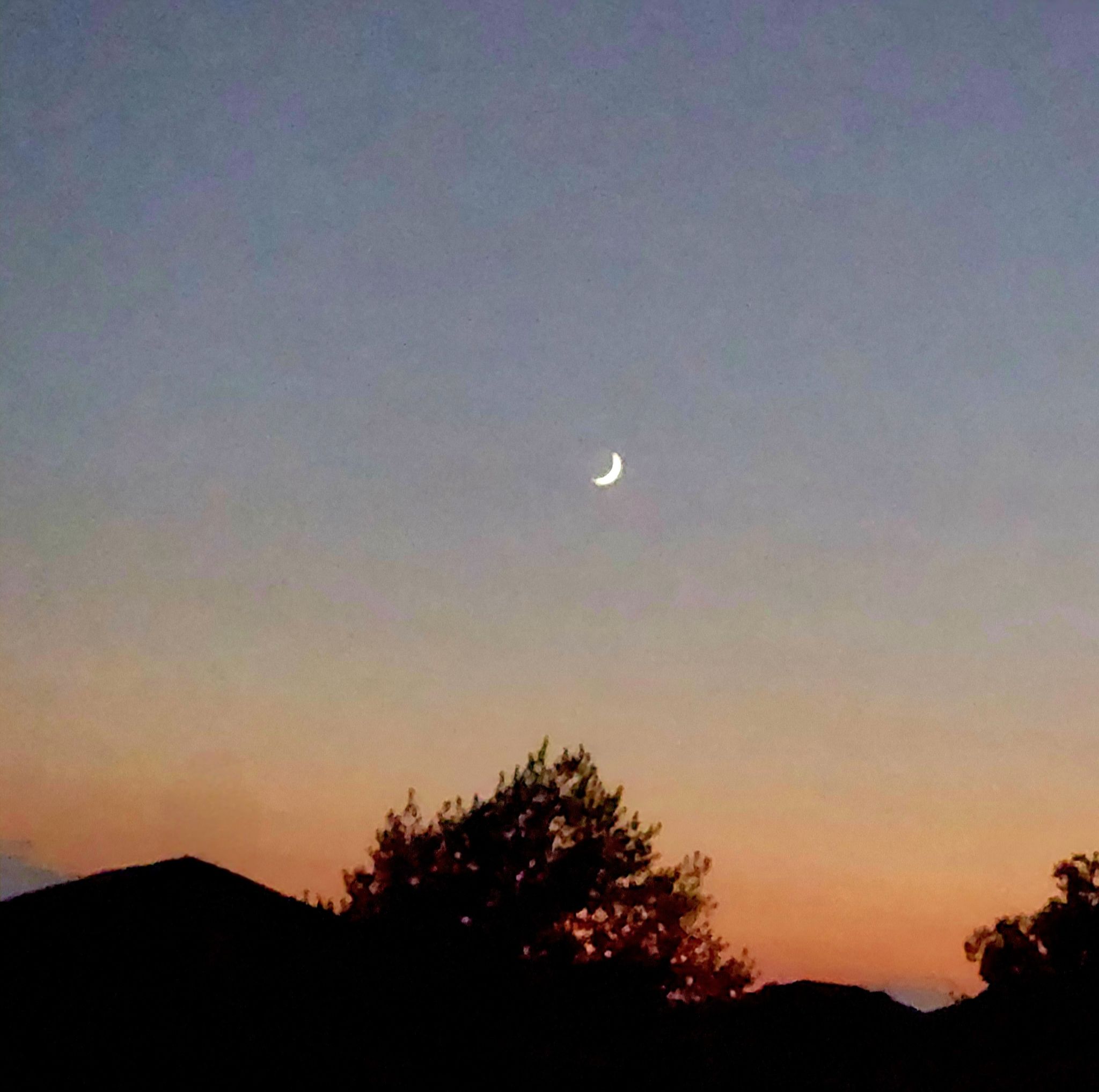 Community photo by D