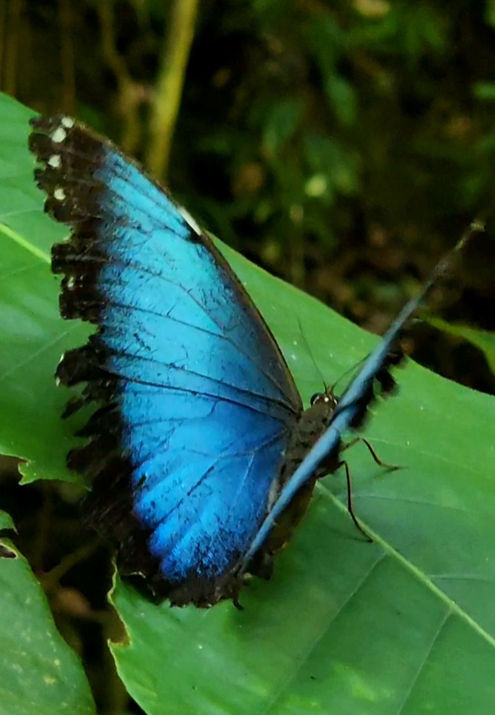 Community photo by Jo-Ann