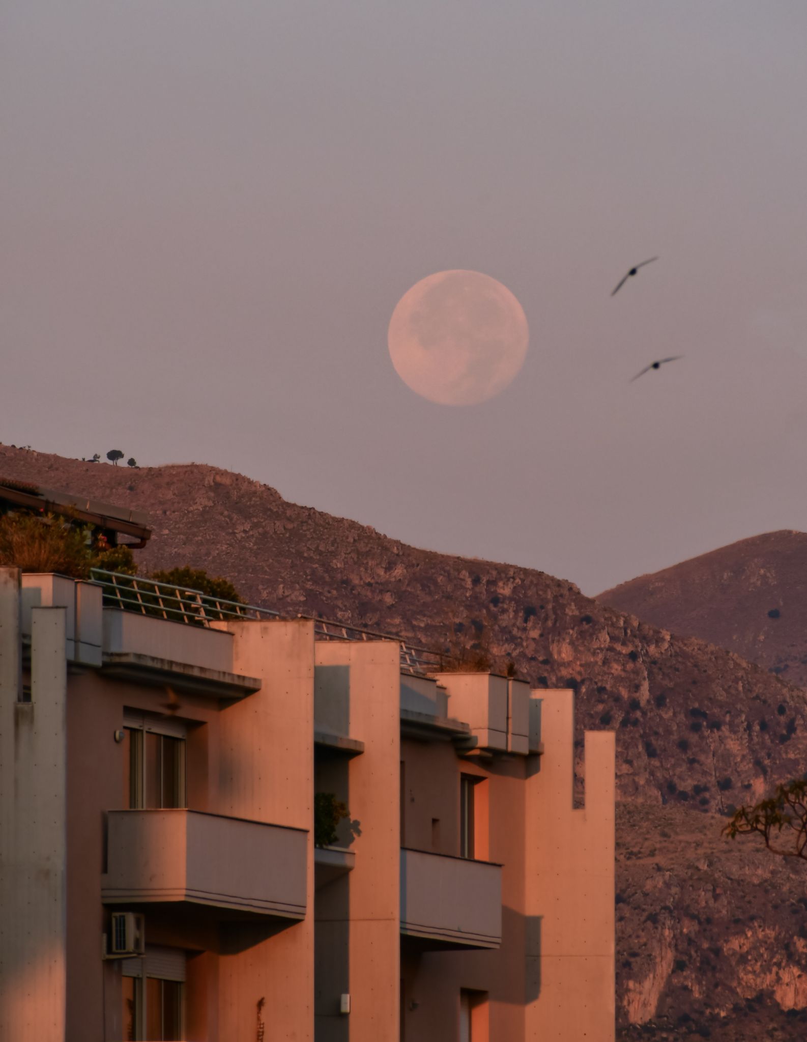 Community photo by Teresa Molinaro | Bagheria, Sicily, Southern Italy