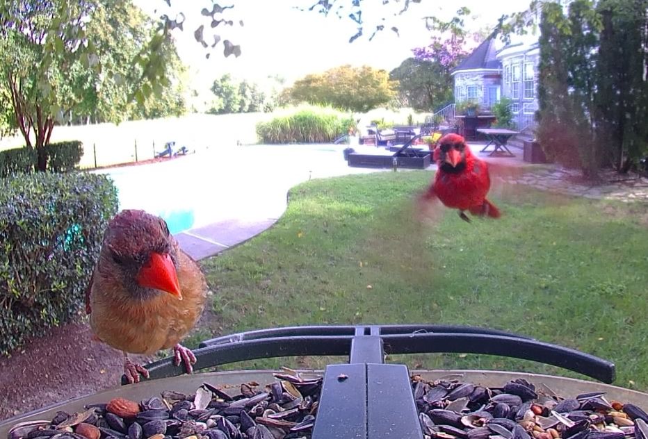 Community photo by Mark