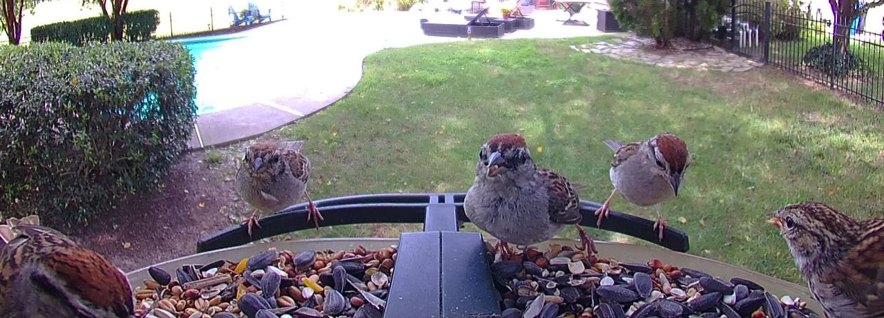 Community photo by Mark