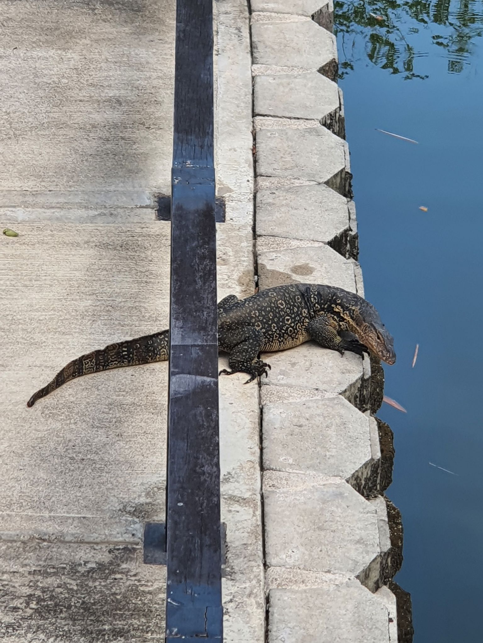 Community photo by Raisa Anan Mustakin | Kuala Lumpur, Malaysia