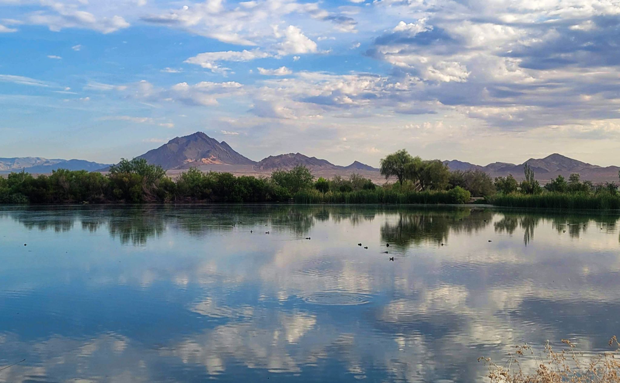 Community photo by Lorraine