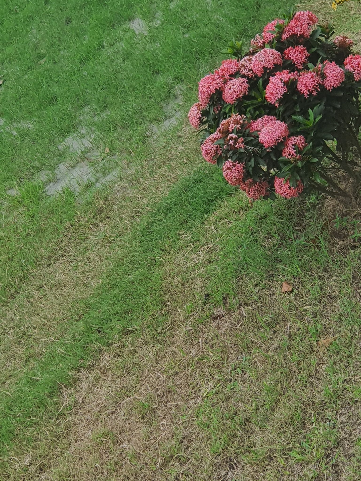 Community photo by Raisa Anan