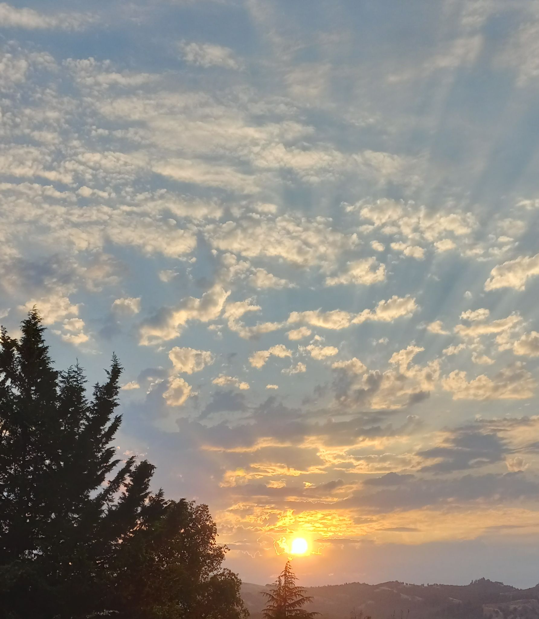 Community photo by Dolores de la Fuente | Roseburg, Oregon