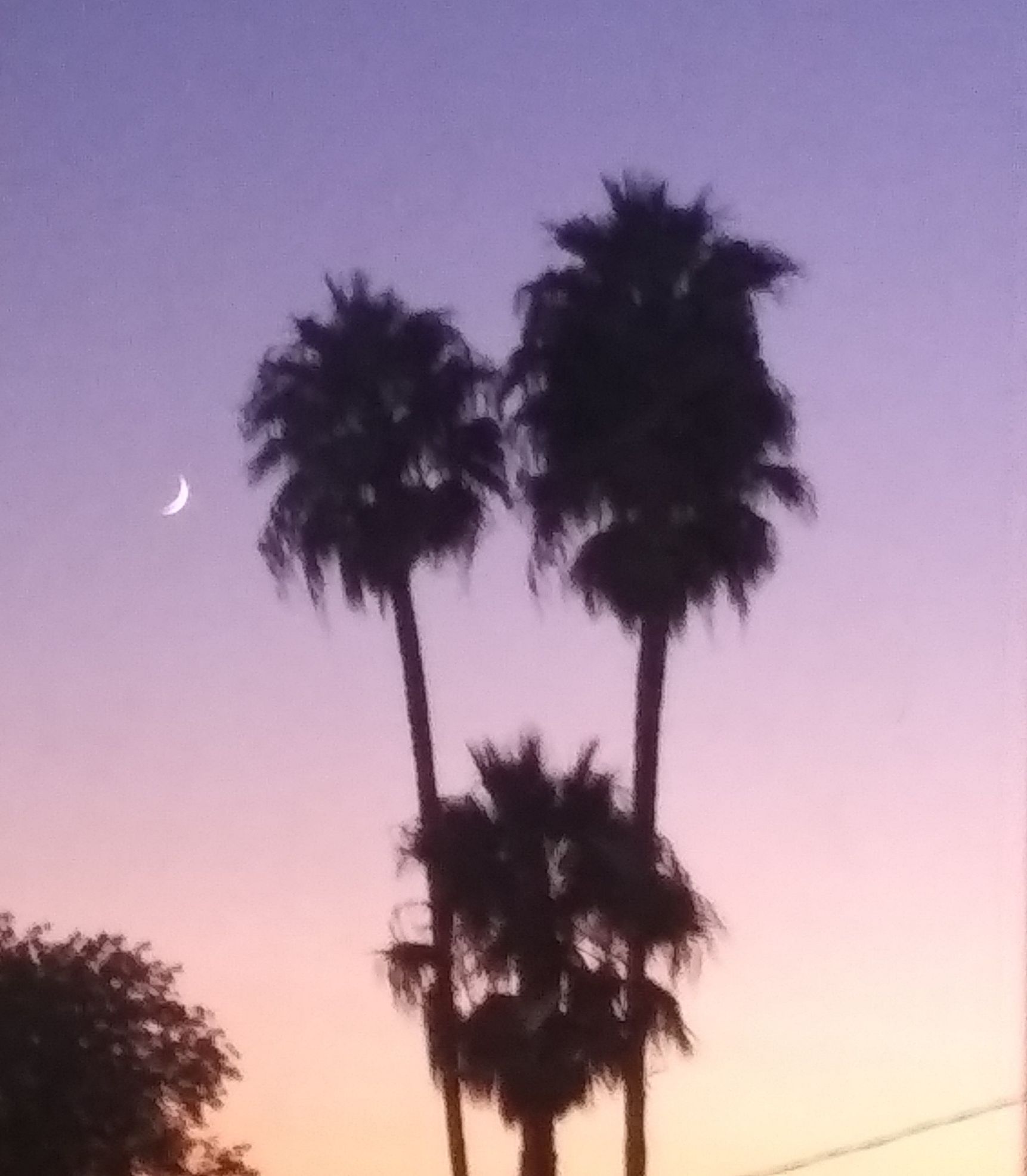 Community photo by Denise