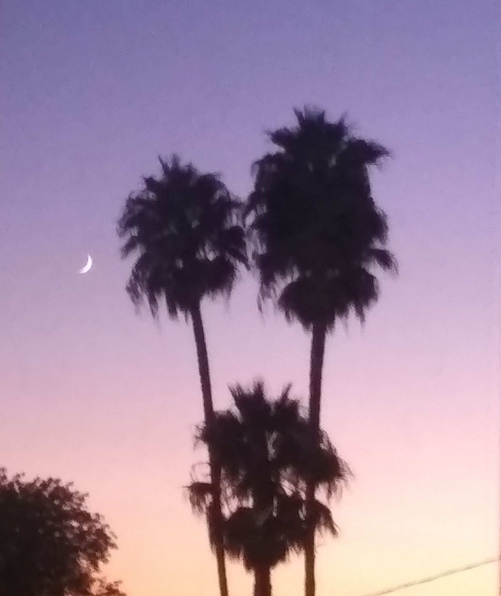 Community photo by Denise Elles | Southern California